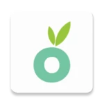 Logo of Mercato Grocery Delivery android Application 